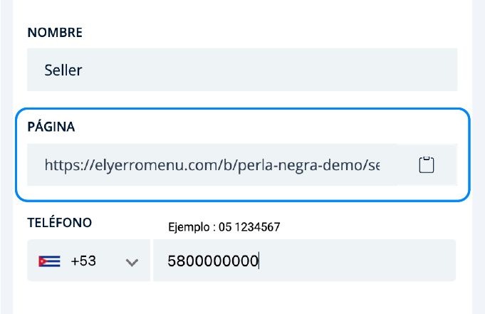 Opciones del Vendedor